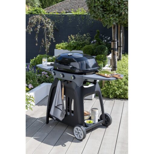 3 - Burner Free Standing and Portable Liquid Propane Gas Grill