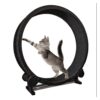 Cat Exercise Wheel / Cat Treadmill Giant Running Wheel Indoor Fitness