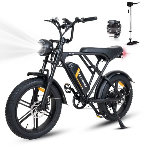 HITWAY 750W Electric Bike for Adults,20X4.0 Fat Tire Off-Road E bike