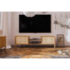 Kaity TV Stand for TVs up to 78"