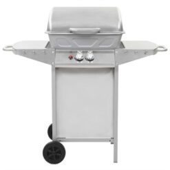 48.5cm Stainless Steel 2-Burner Portable Liquid Propane Barbecue Grill