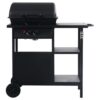 92cm Aarish 2-Burner Liquid Propane Barbecue Grill