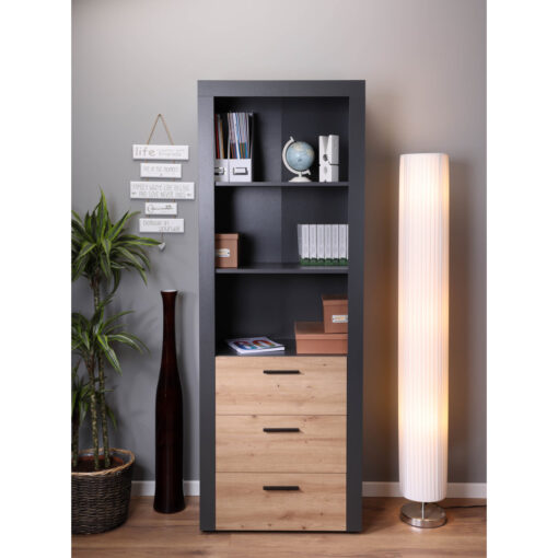 Ceji Bookcase