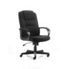 Deluxe High-Back Executive Chair