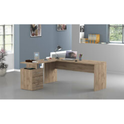 Salesville 160cm W Rectangle Computer Desk with and Cabinet