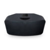 (Black) Bluesound Pulse Mini 2i Compact Wireless Speaker
