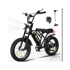 Hitway Electric Bikes,20 Inch Off-Road E bike with 4.0 Fat Tire,with 250W Motor and 48V Battery, Powerful Motor Elecrtic Bicycle for Adult