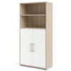 Dorin 2 -Door 2 -Shelf Storage Cabinet