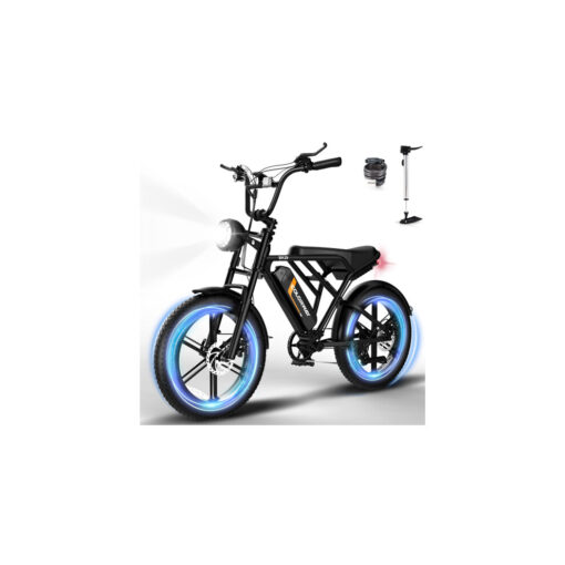 Electric Bikes,20 Inch Off-Road E bike with 4.0 Fat Tire,with 250W Motor and 48V Battery, Powerful Motor Elecrtic Bicycle for Adult COLORWAY