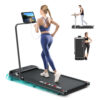 BLACK LORD Treadmill Walking Pad Incline Foldable Black