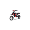 Electric Motorcycle EV12M Logo-300W Motor-36V/4AH-E-Bike for Kid