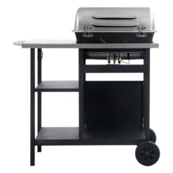 92cm Aarish 2-Burner Liquid Propane Barbecue Grill