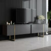 Aariana TV Stand for TVs up to 60"