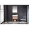 Adelfa 590mm Wall Mounted Standard Single Vanity