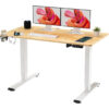 Denyse 110cm W Height Adjustable Rectangle Computer Desk