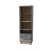 Harney Bookcase