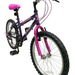 Spike 20 Inch Wheel Size Girls Mountain Bike