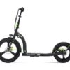 ARGENTO AR-MO-210001 Electric Folding Scooter - Black, Black