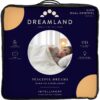 Dreamland Ivory Supersoft Dual Control Overblanket-King