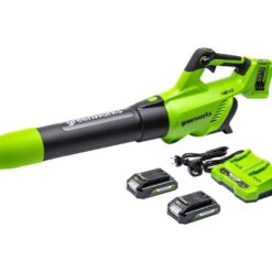 GREENWORKS GWG24X2ABK2X Leaf Blower with 2 Batteries - Black & Green