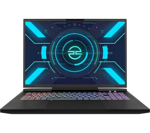 PCSPECIALIST Recoil 400 17" Gaming Laptop - Intel®Core™ i9, RTX 4080, 2 TB SSD, Black