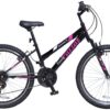 Pazzaz Indiana 24 Inch Wheel Size Mountain Bike