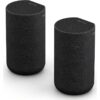 SONY SA-RS5 2.0.2 Wireless Rear Speaker Kit, Black