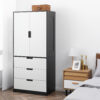 2 Door Wardrobe, Modern Wardrobe With 3 Drawers And Hanging Rod For Bedroom