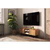 Bisen TV Stand for TVs up to 78"