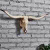 Cow Wall Decor, Long Horn Cow Wall Hanging, Faux Longhorn Faux Taxidermy Head Wall Decor Handmade Simulation Large Head Farmhouse Decor Wall