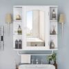 Decoyad Wall Mounted Bathroom Cabinet Organizer With Mirror Door Shelf