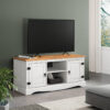 Denese White 2 Door Media TV Entertainment Unit