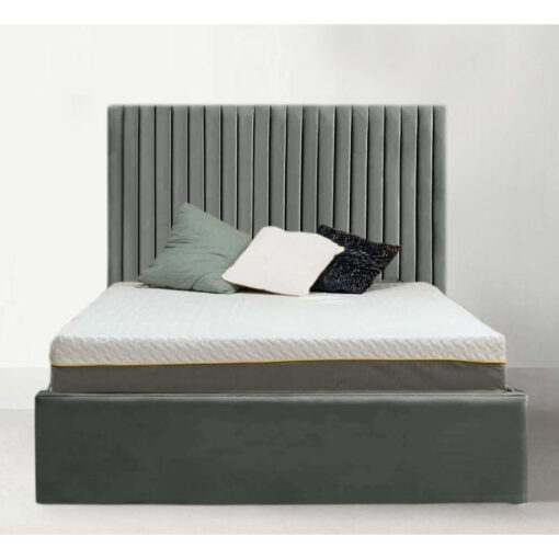 Leopoldine Upholstered Panel Bed