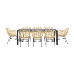 Lizard 8 Seater Dining Set