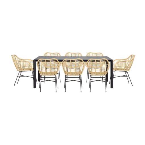 Lizard 8 Seater Dining Set