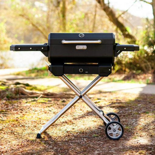 Masterbuilt Portable Charcoal Grill and Smoker