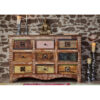 Nature of Spirit Chest of Drawers