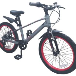 Spike 20 Inch Wheel Size Unisex Bike