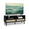 Whitworth TV Stand for TVs up to 55"