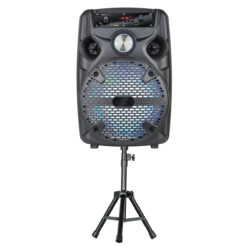 Wireless Portable Pa , Theater Set 8- , Stand And Flashing , Aux 3.5mm Usb Dj