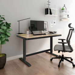 120cm W Height Adjustable Rectangle Standing Desk