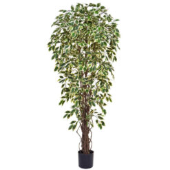 180cm Faux Ficus Tree in Pot Liner