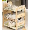 3- Cat , Removable Elevated Pet Bed For Or Small , 21.6 Standing Dog Bed, And Small To On