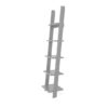 Alyshia Ladder Bookcase