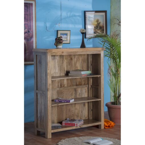 Amukta Bookcase