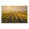 Autumnal Vineyards outside Vienna 3.2m x 4.8m Embossed Matte Peel & Stick Wallpaper Roll