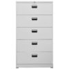 Bakary 46cm Wide 5 -Drawer Steel File Cabinet