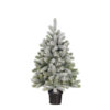 Black Box Trees Nigata x-mas tree potted green frosted TIPS 175 - h90xd55cm