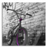 Bmx Bike with Graffiti - Unframed Photograph on Glass