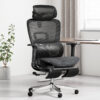 Delberta Ergonomic Mesh Office Chair